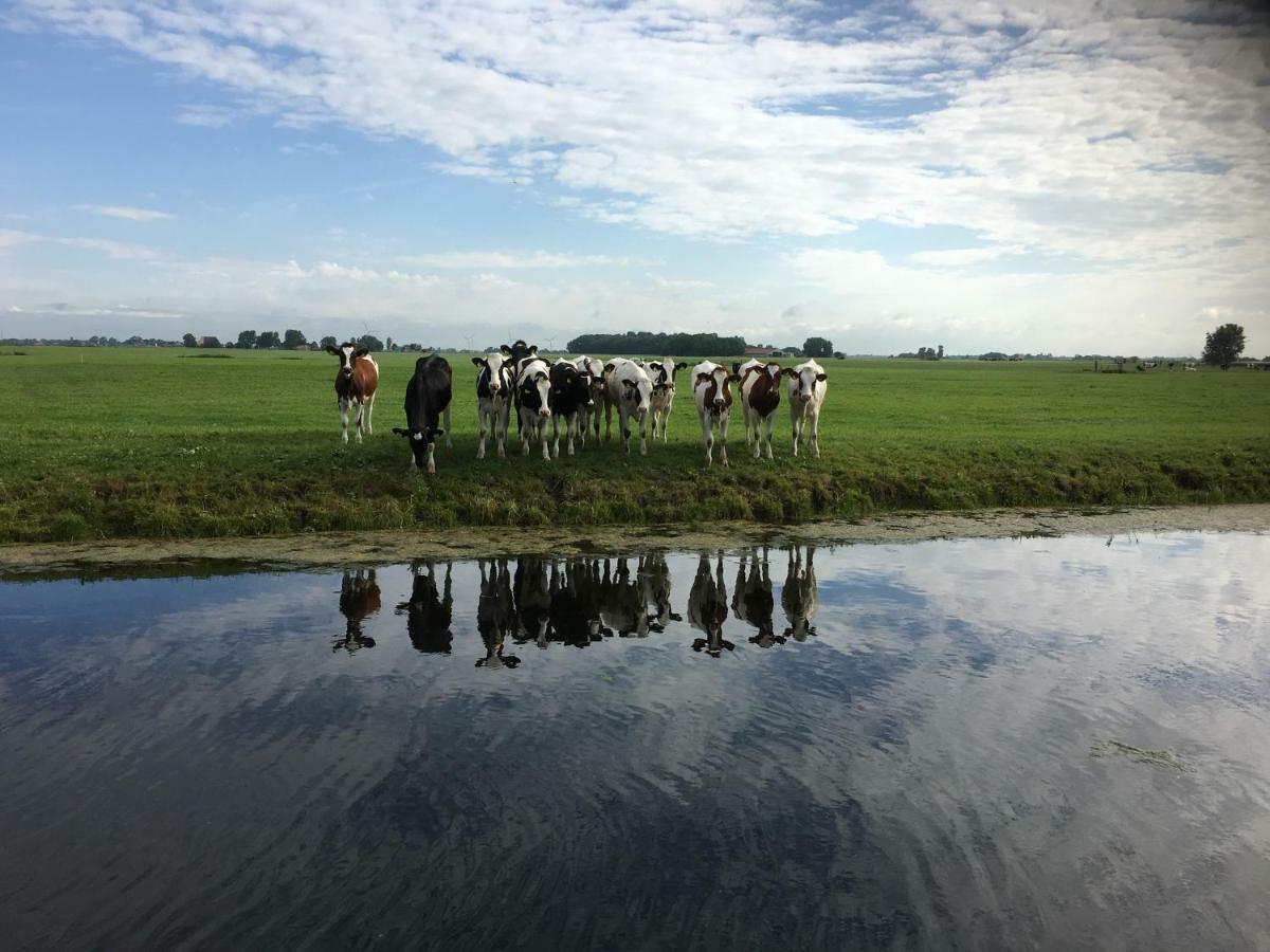 Vakantiehuis Het Voorhuis Op Landgoed Koepeltjesplaats Gaast Luaran gambar
