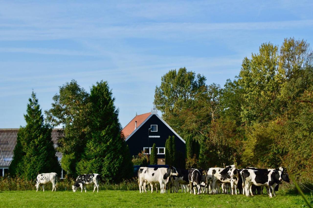 Vakantiehuis Het Voorhuis Op Landgoed Koepeltjesplaats Gaast Luaran gambar