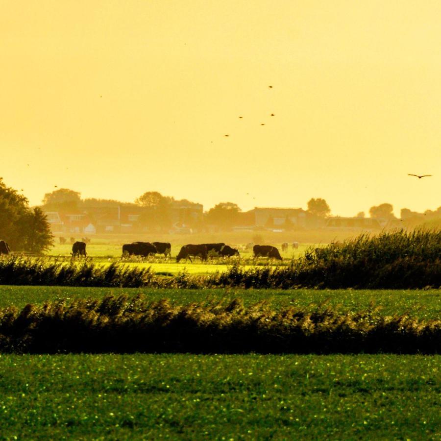 Vakantiehuis Het Voorhuis Op Landgoed Koepeltjesplaats Gaast Luaran gambar